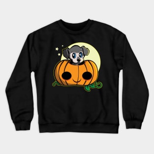 Cute Pumpkin Puppy for Halloween Crewneck Sweatshirt